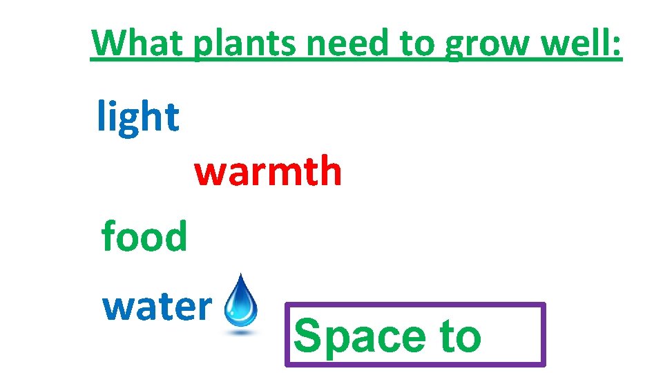 What plants need to grow well: light warmth food water Space to 