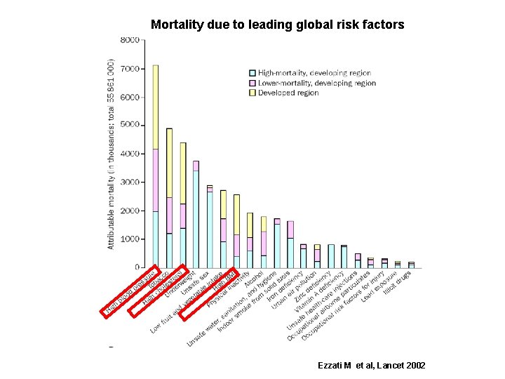 Mortality due to leading global risk factors Ezzati M et al, Lancet 2002 