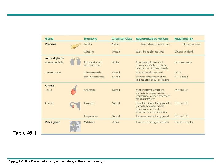 Table 45. 1 Copyright © 2005 Pearson Education, Inc. publishing as Benjamin Cummings 