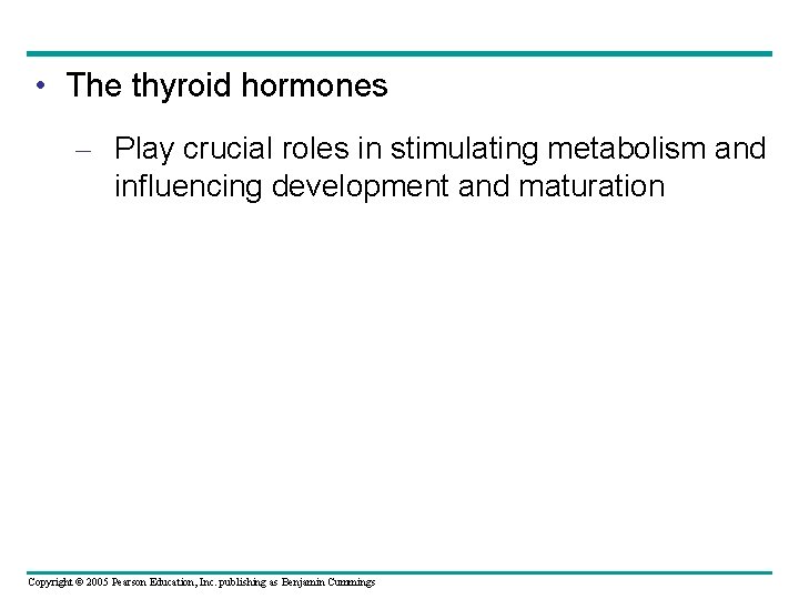  • The thyroid hormones – Play crucial roles in stimulating metabolism and influencing