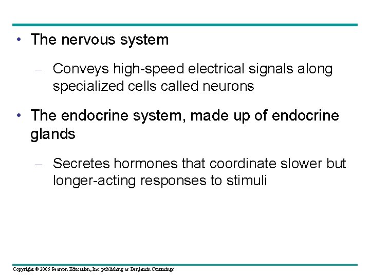  • The nervous system – Conveys high-speed electrical signals along specialized cells called