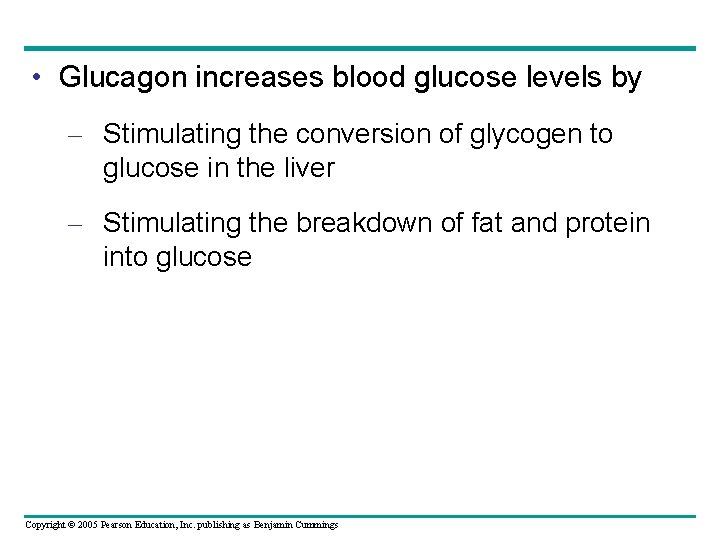  • Glucagon increases blood glucose levels by – Stimulating the conversion of glycogen