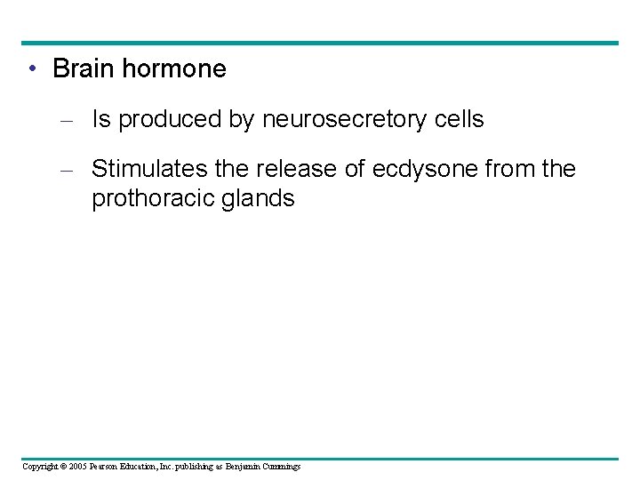  • Brain hormone – Is produced by neurosecretory cells – Stimulates the release