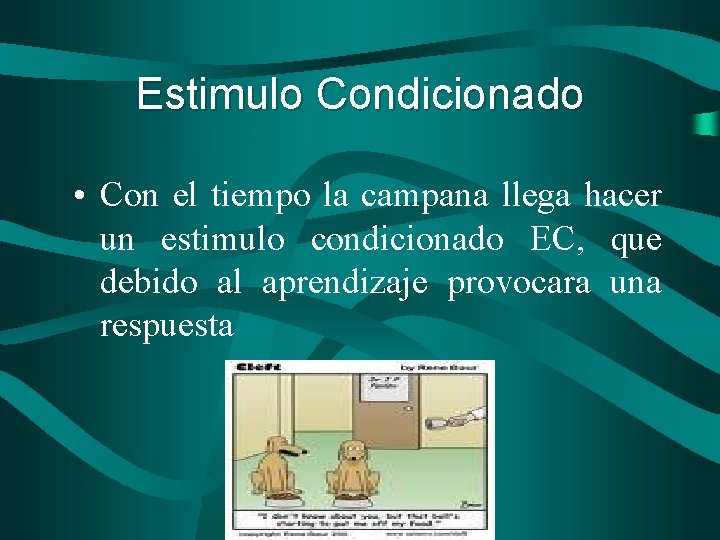 Estimulo Condicionado • Con el tiempo la campana llega hacer un estimulo condicionado EC,