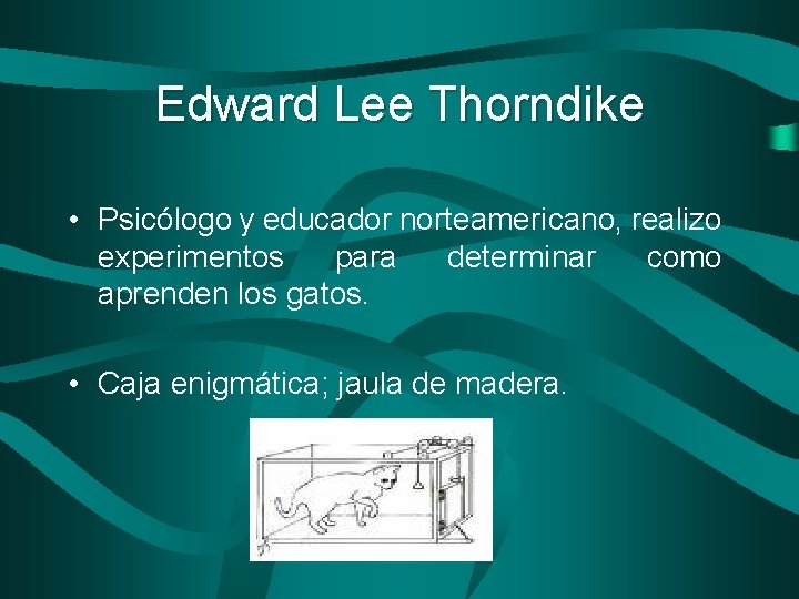 Edward Lee Thorndike • Psicólogo y educador norteamericano, realizo experimentos para determinar como aprenden