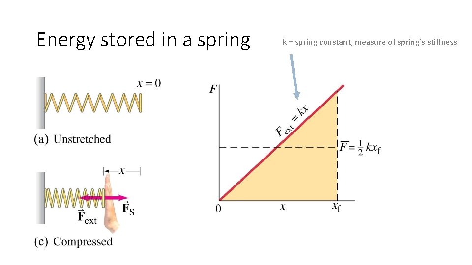 Energy stored in a spring k = spring constant, measure of spring’s stiffness 