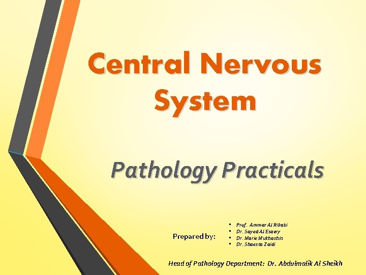 Central Nervous System Pathology Practicals Prepared by: • • Prof. Ammar Al Rikabi Dr.