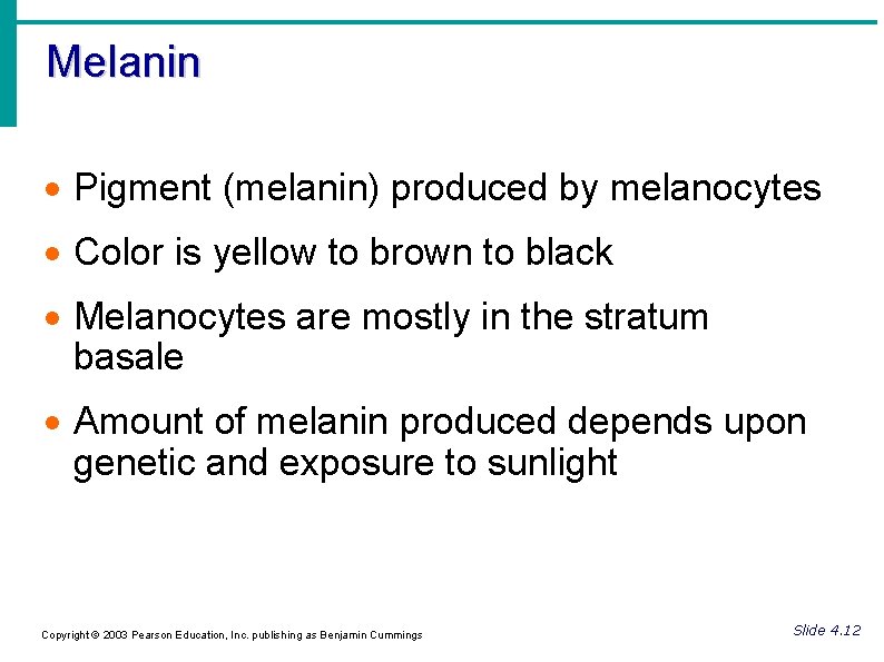 Melanin Pigment (melanin) produced by melanocytes Color is yellow to brown to black Melanocytes