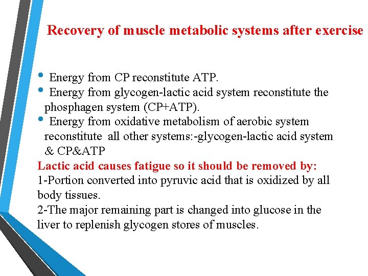  Recovery of muscle metabolic systems after exercise • Energy from CP reconstitute ATP.