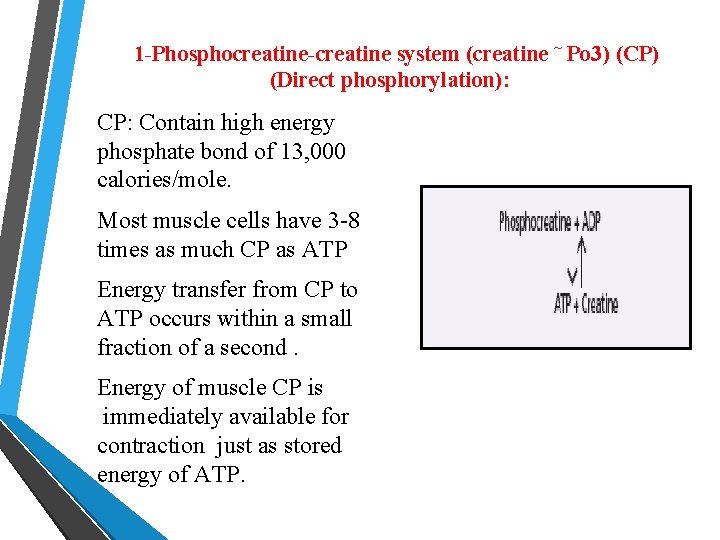 1 -Phosphocreatine-creatine system (creatine ˜ Po 3) (CP) (Direct phosphorylation): CP: Contain high energy
