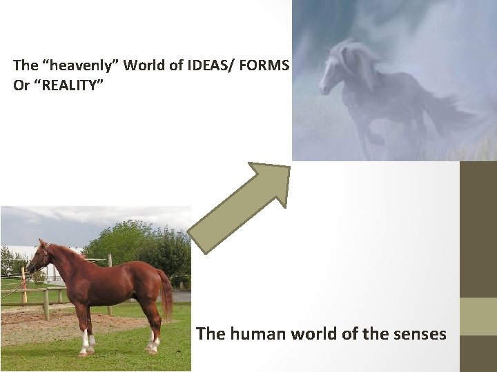 The “heavenly” World of IDEAS/ FORMS Or “REALITY” The human world of the senses