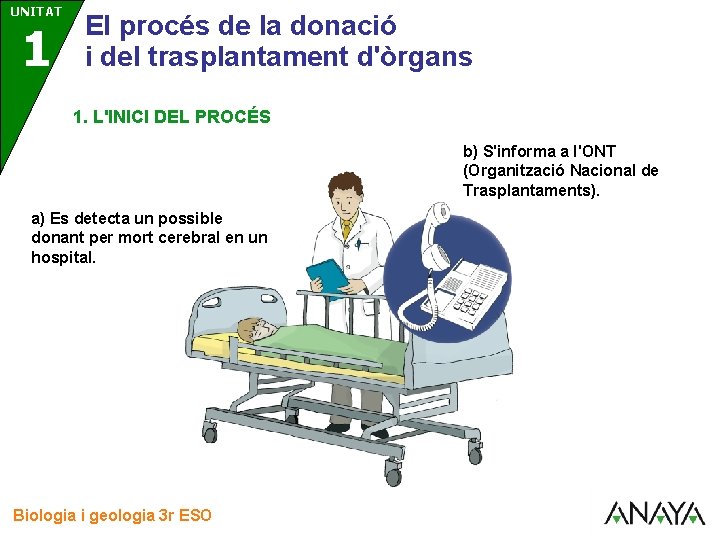 UNITAT 3 1 El procés de la donació i del trasplantament d'òrgans 1. L'INICI