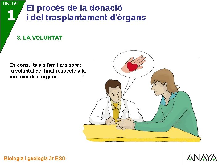 UNITAT 3 1 El procés de la donació i del trasplantament d'òrgans 3. LA