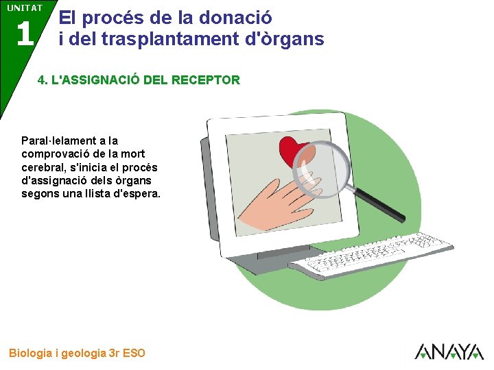 UNITAT 3 1 El procés de la donació i del trasplantament d'òrgans 4. L'ASSIGNACIÓ