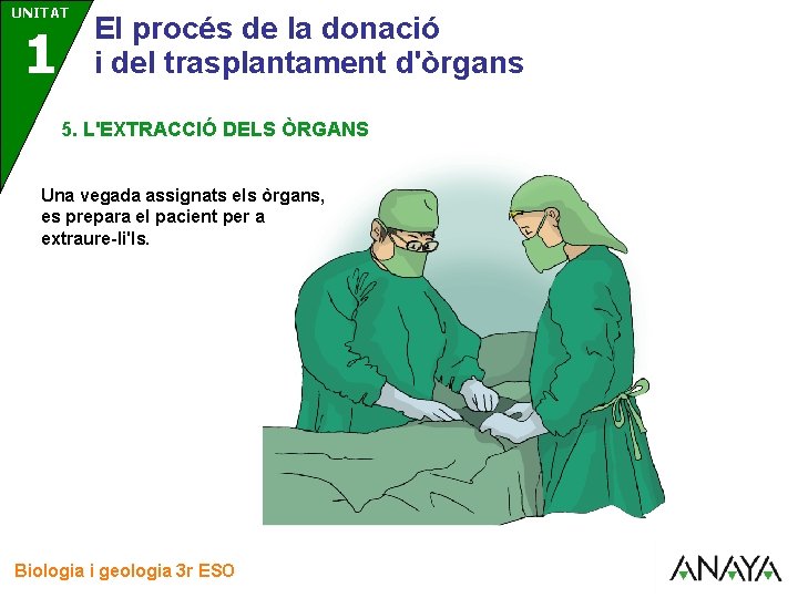 UNITAT 3 1 El procés de la donació i del trasplantament d'òrgans 5. L'EXTRACCIÓ