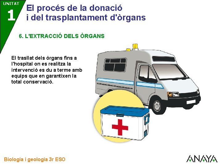 UNITAT 3 1 El procés de la donació i del trasplantament d'òrgans 6. L'EXTRACCIÓ