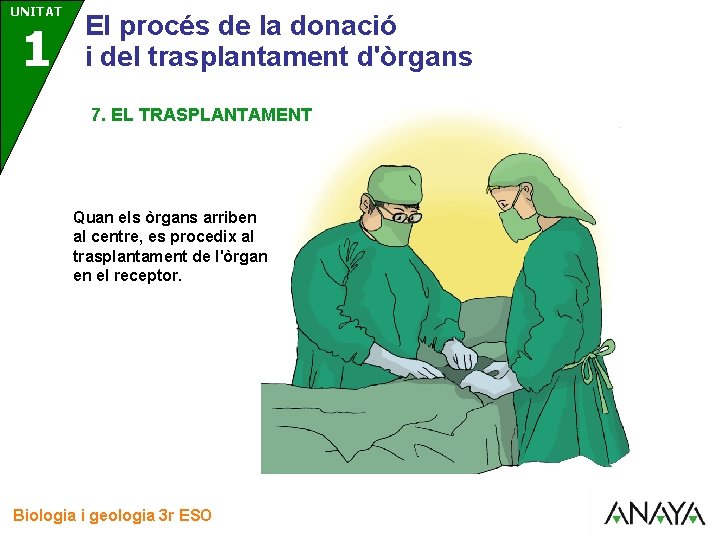UNITAT 3 1 El procés de la donació i del trasplantament d'òrgans 7. EL