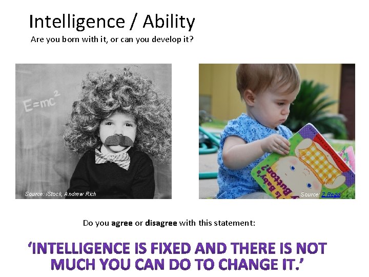 Intelligence / Ability Are you born with it, or can you develop it? Source: