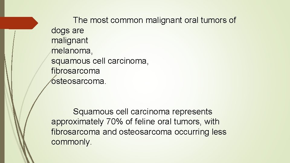 The most common malignant oral tumors of dogs are malignant melanoma, squamous cell carcinoma,