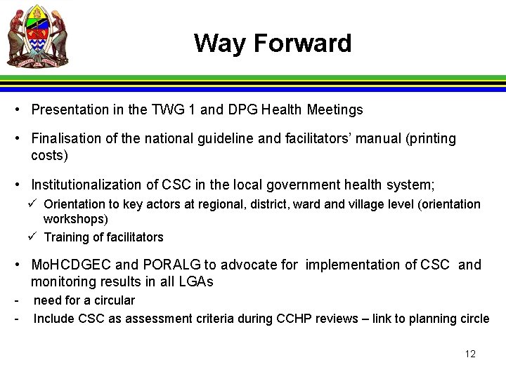 Way Forward • Presentation in the TWG 1 and DPG Health Meetings • Finalisation