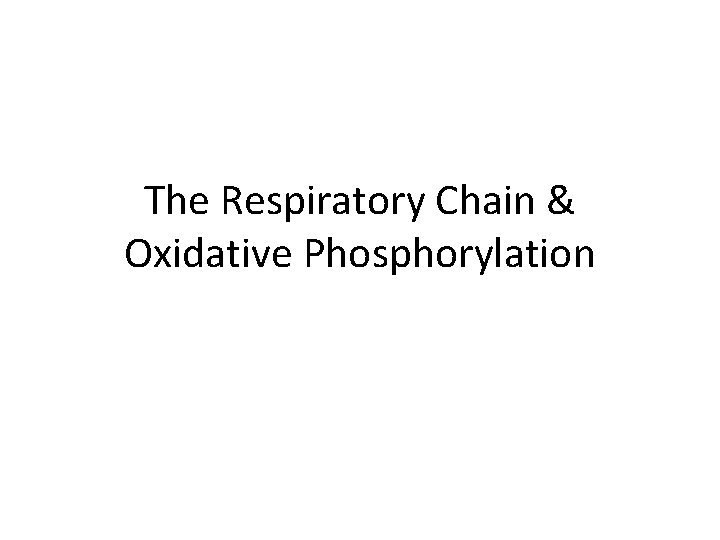 The Respiratory Chain & Oxidative Phosphorylation 