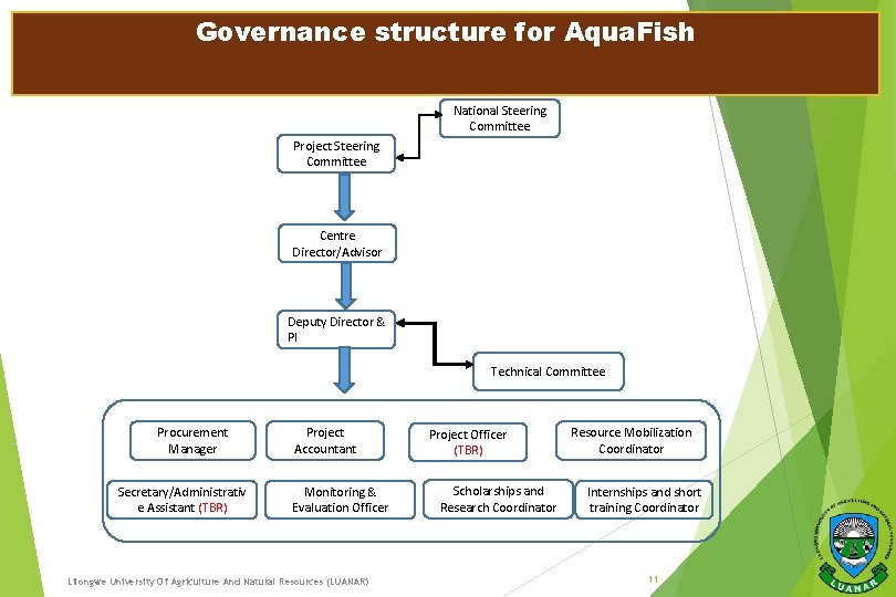 Governance structure for Aqua. Fish National Steering Committee Project Steering Committee Centre Director/Advisor Deputy
