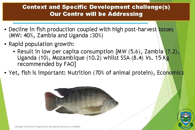 Context and Specific Development challenge(s) Our Centre will be Addressing • Decline in fish