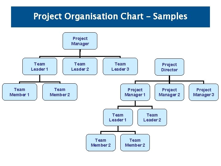 Project Organisation Chart – Samples Project Manager Team Leader 1 Team Member 1 Team Project Organisation Chart – Samples Project Manager Team Leader 1 Team Member 1 Team