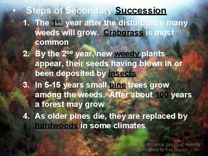  • Steps of Secondary Succession 1. The 1 st year after the disturbance