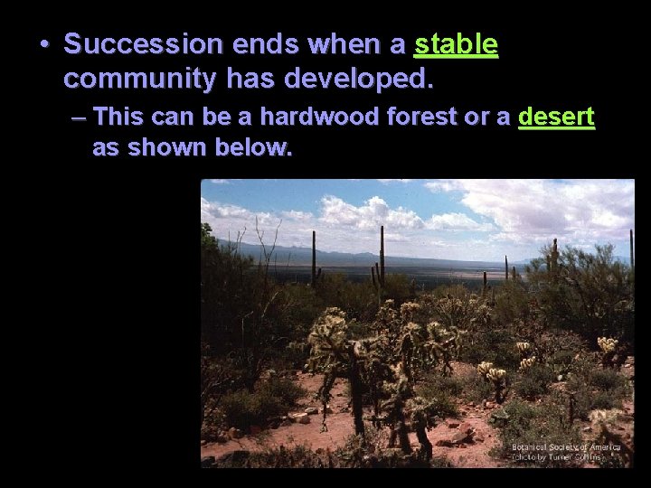  • Succession ends when a stable community has developed. – This can be