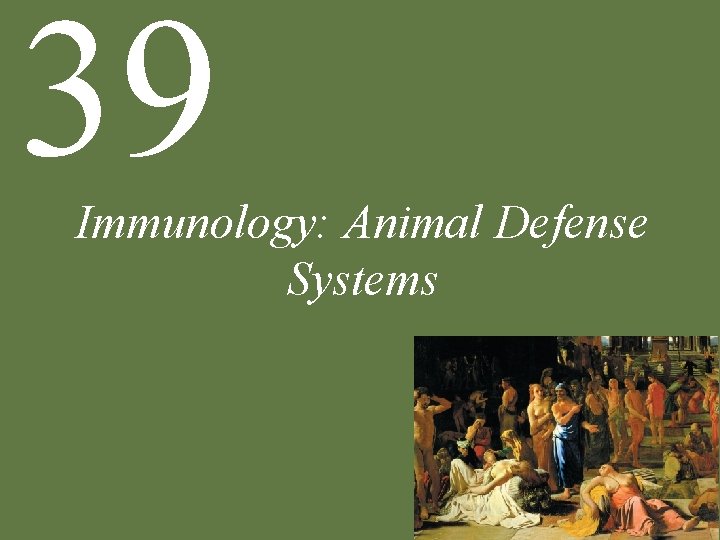 39 Immunology: Animal Defense Systems 