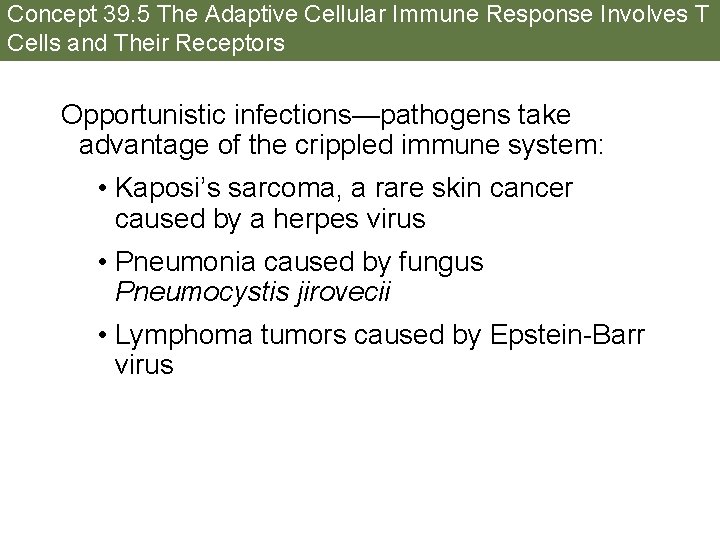 Concept 39. 5 The Adaptive Cellular Immune Response Involves T Cells and Their Receptors