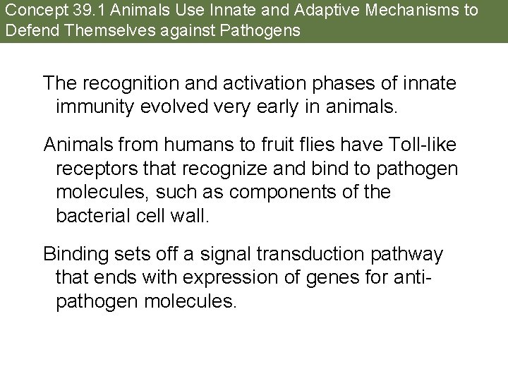 Concept 39. 1 Animals Use Innate and Adaptive Mechanisms to Defend Themselves against Pathogens