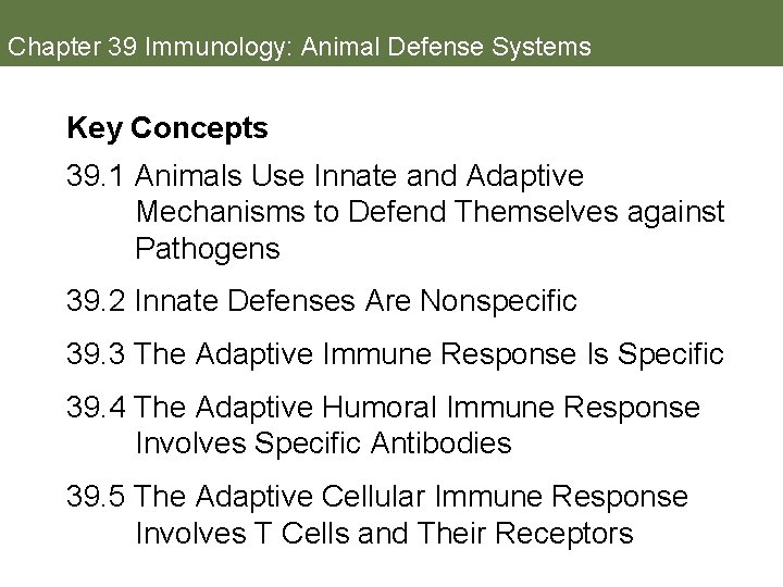 Chapter 39 Immunology: Animal Defense Systems Key Concepts 39. 1 Animals Use Innate and