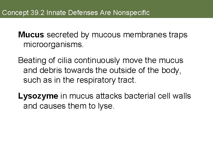 Concept 39. 2 Innate Defenses Are Nonspecific Mucus secreted by mucous membranes traps microorganisms.