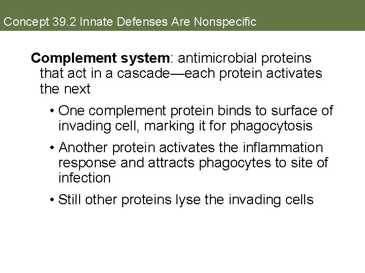 Concept 39. 2 Innate Defenses Are Nonspecific Complement system: antimicrobial proteins that act in