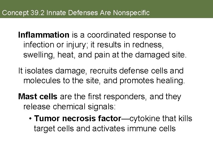 Concept 39. 2 Innate Defenses Are Nonspecific Inflammation is a coordinated response to infection