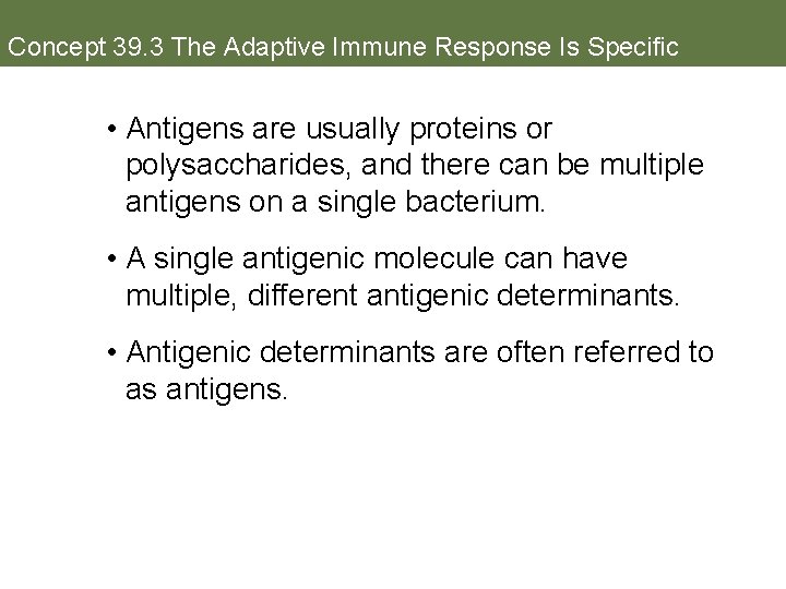Concept 39. 3 The Adaptive Immune Response Is Specific • Antigens are usually proteins