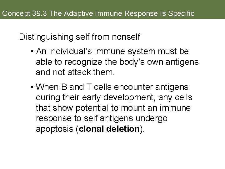 Concept 39. 3 The Adaptive Immune Response Is Specific Distinguishing self from nonself •