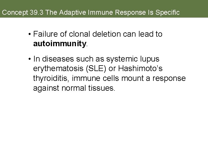 Concept 39. 3 The Adaptive Immune Response Is Specific • Failure of clonal deletion