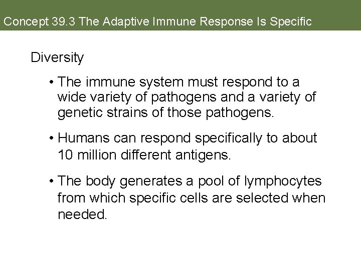 Concept 39. 3 The Adaptive Immune Response Is Specific Diversity • The immune system