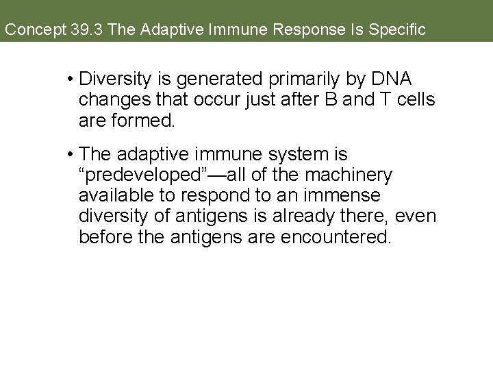 Concept 39. 3 The Adaptive Immune Response Is Specific • Diversity is generated primarily