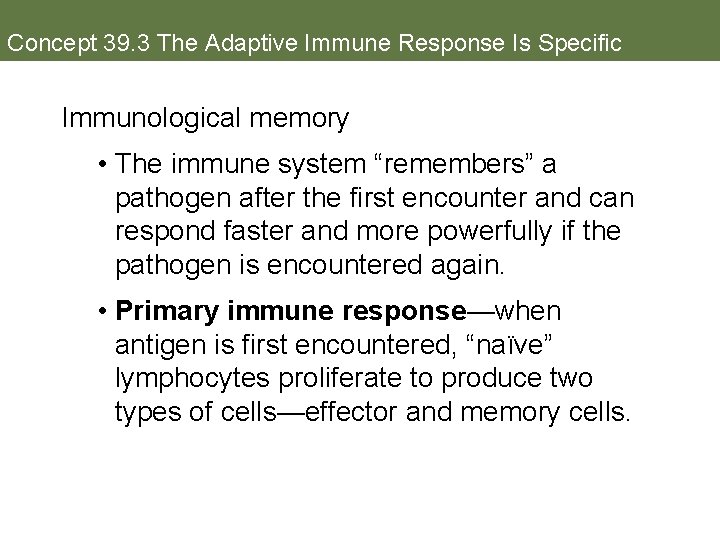 Concept 39. 3 The Adaptive Immune Response Is Specific Immunological memory • The immune