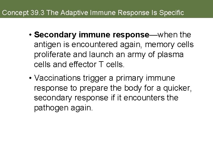 Concept 39. 3 The Adaptive Immune Response Is Specific • Secondary immune response—when the