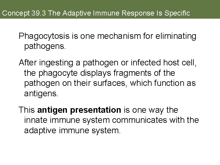 Concept 39. 3 The Adaptive Immune Response Is Specific Phagocytosis is one mechanism for