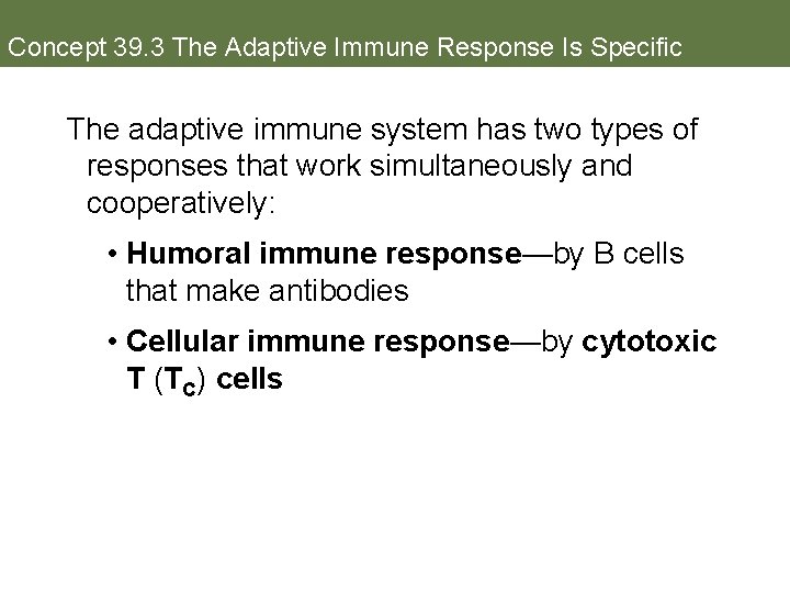 Concept 39. 3 The Adaptive Immune Response Is Specific The adaptive immune system has