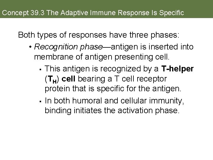 Concept 39. 3 The Adaptive Immune Response Is Specific Both types of responses have