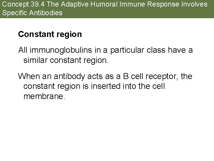 Concept 39. 4 The Adaptive Humoral Immune Response Involves Specific Antibodies Constant region All