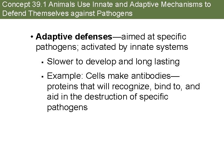 Concept 39. 1 Animals Use Innate and Adaptive Mechanisms to Defend Themselves against Pathogens