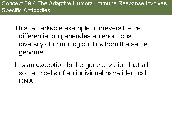 Concept 39. 4 The Adaptive Humoral Immune Response Involves Specific Antibodies This remarkable example